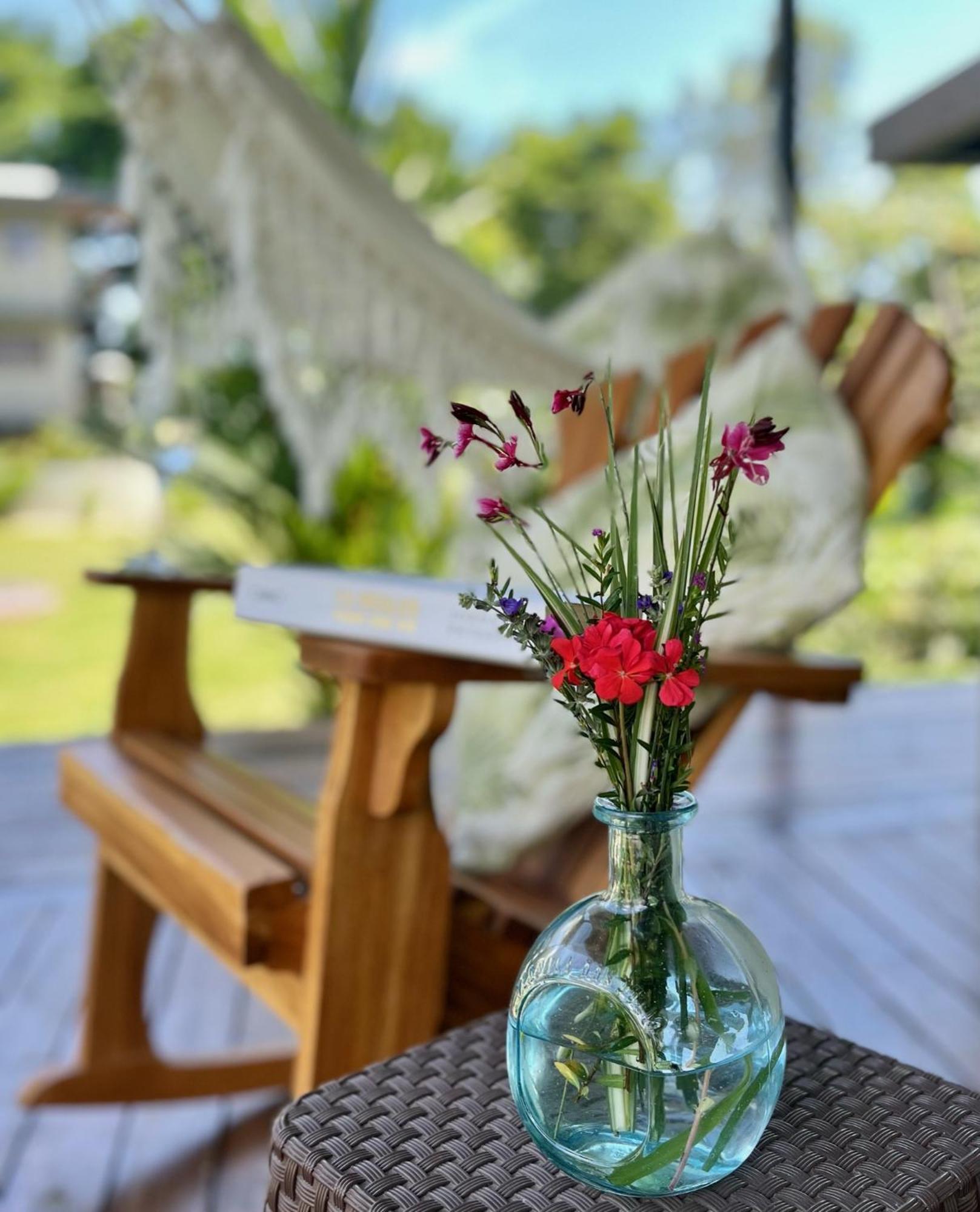 Southern Drake Lodge Драке Экстерьер фото